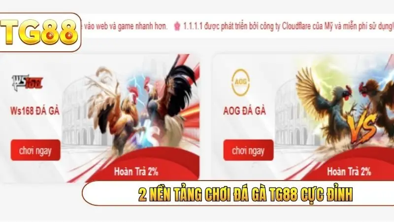 2 nền tảng chơi đá gà TG88 cực đỉnh