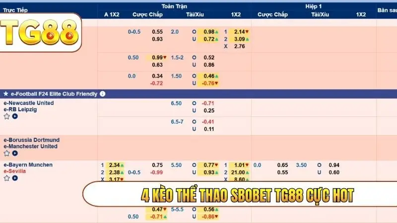 4 kèo thể thao SBOBET TG88 cực hot