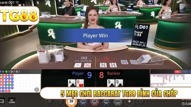 5 mẹo chơi baccarat TG88 đỉnh của chóp