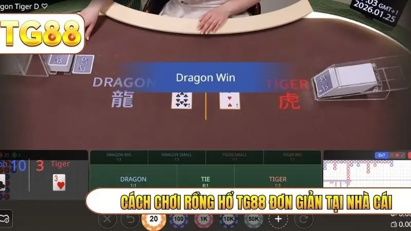 Cách chơi rồng hổ TG88 đơn giản tại nhà cái