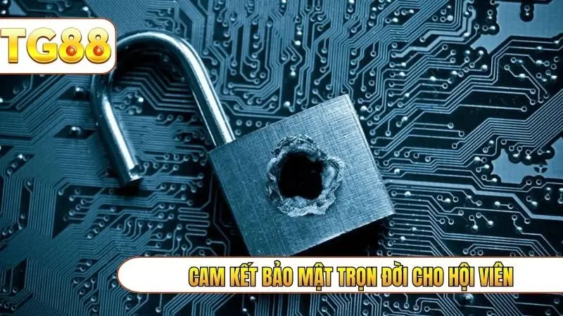 Cam kết bảo mật trọn đời cho hội viên