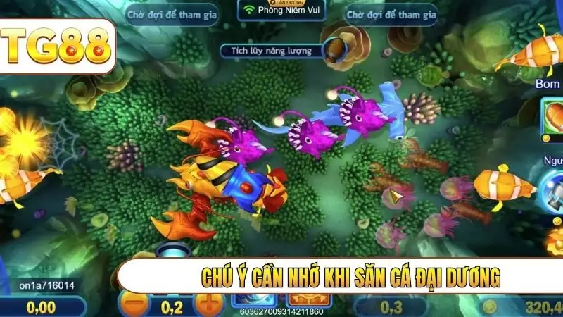 Chú ý cần nhớ khi săn cá đại dương