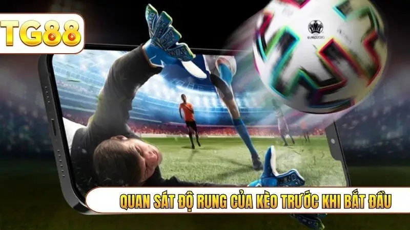 Quan sát độ rung của kèo trước khi bắt đầu