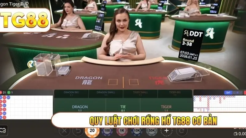 Quy luật chơi rồng hổ TG88 cơ bản