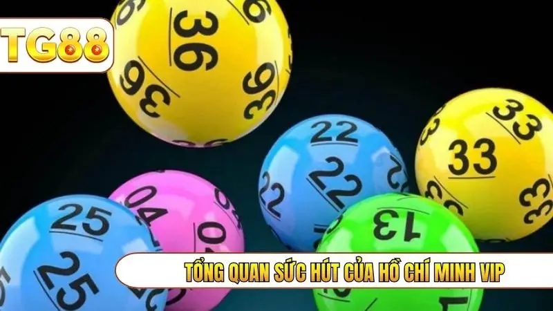 Tổng quan sức hút của Hồ Chí Minh Vip