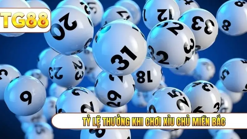 Tỷ lệ thưởng khi chơi xỉu chủ miền bắc